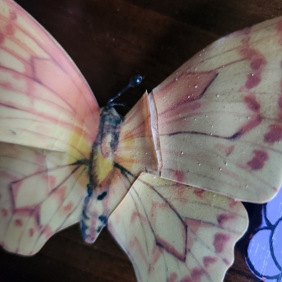 Lot of 13 vintage magnets. Some handmade. Florida, Butterfly, etc 1980s 1990s - Picture 7 of 9